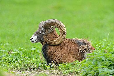 推理惊悚《Conway》11月2日发售 登陆全平台